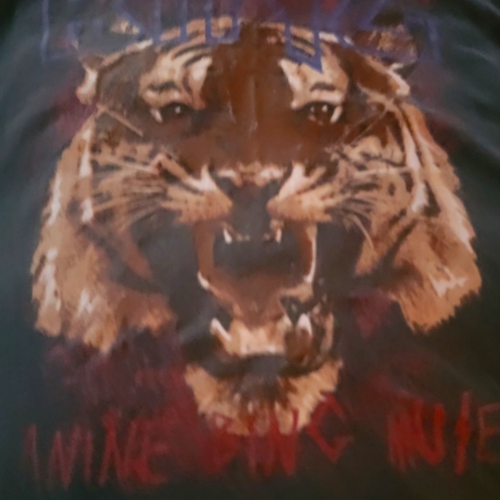 Anine Bing shirt used large